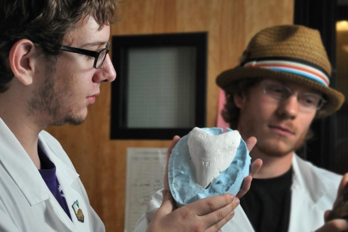 Students looking at model of a rock